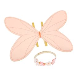 fairy wings set