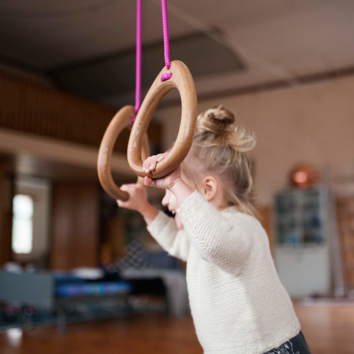 Lillagunga Gymnastic Rings